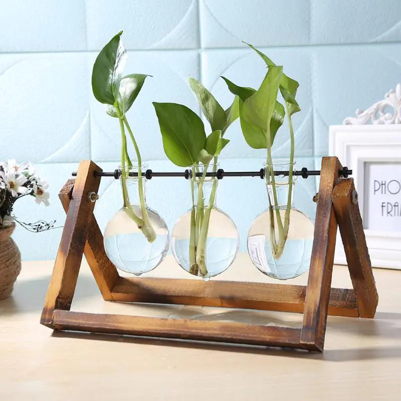 Ekko Maison Glass and Wood Vase Desktop Planter