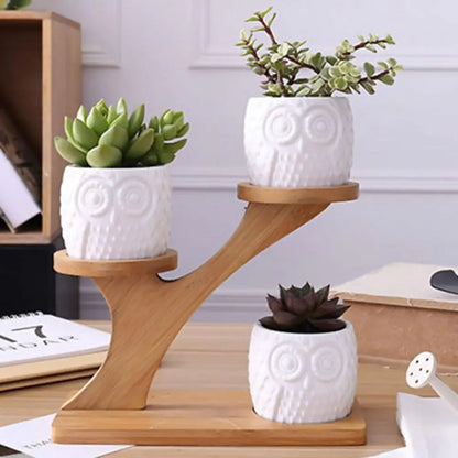 Ekko Maison Succulent Pots & Bamboo Shelf