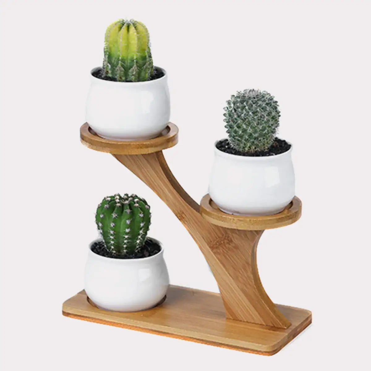 Ekko Maison Succulent Pots & Bamboo Shelf