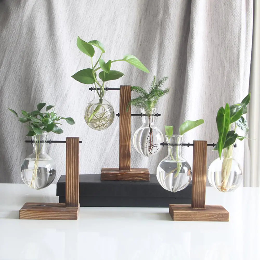 Ekko Maison Glass and Wood Vase Desktop Planter