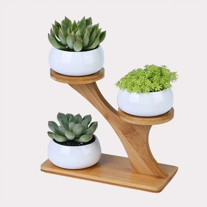 Ekko Maison Succulent Pots & Bamboo Shelf