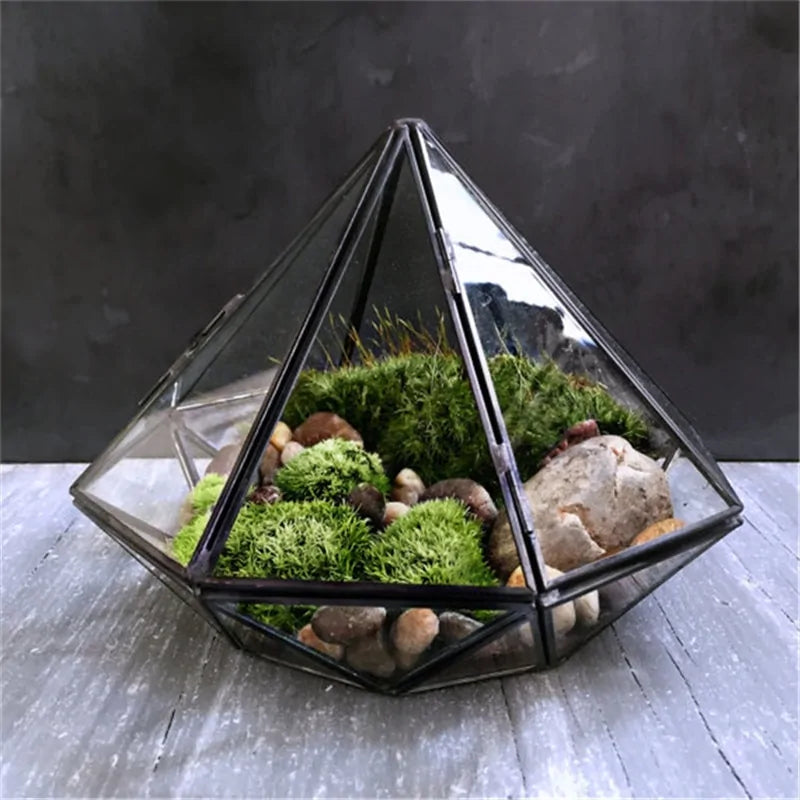 Ekko Maison Glass Terrarium