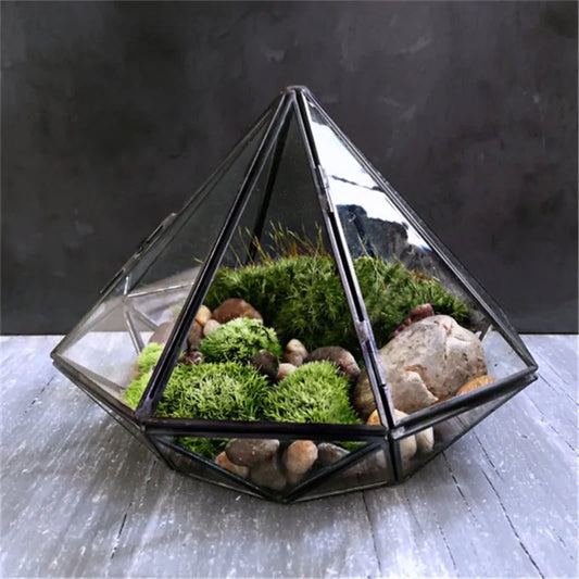 Ekko Maison Glass Terrarium