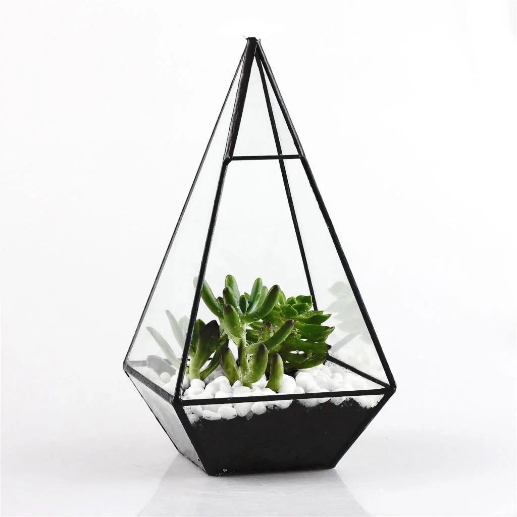 Ekko Maison Pyramid Glass Terrarium