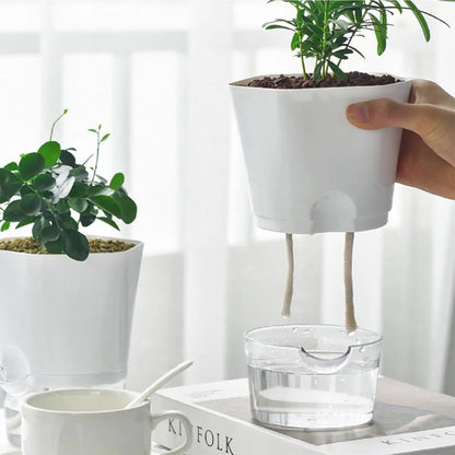 Ekko Maison Automatic Water-Absorbing Flowerpot