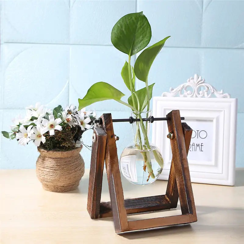 Ekko Maison Glass and Wood Vase Desktop Planter