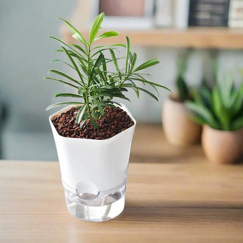 Ekko Maison Automatic Water-Absorbing Flowerpot